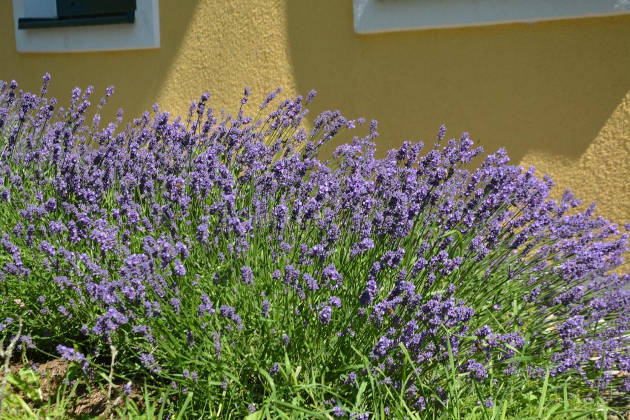 Wastlhof Am Kreischberg Lutzmannsdorf Exterior foto